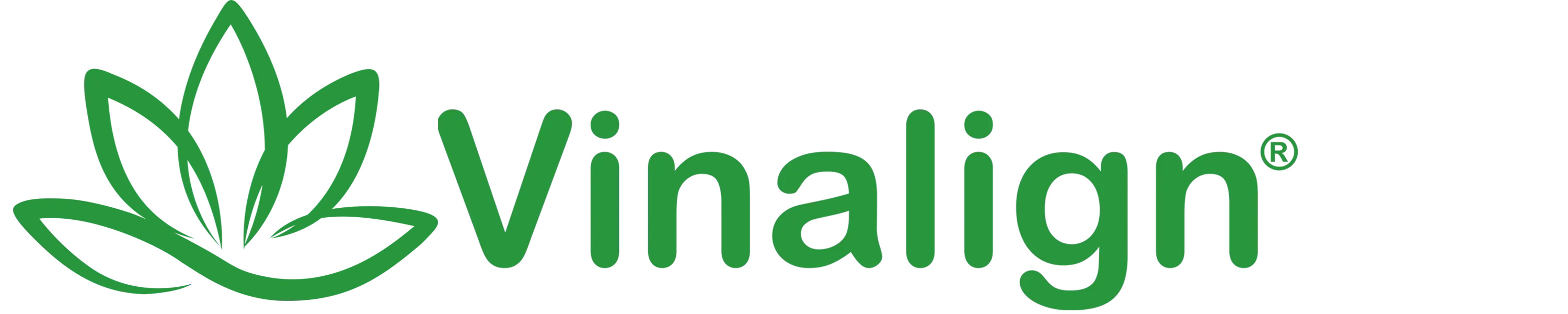 Niềng răng Vinalign